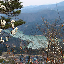 岩倉山